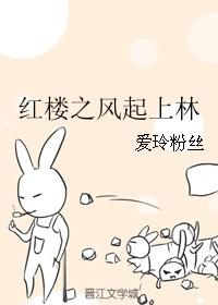 ��¥֮��������