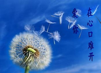 �������Ŀ��ѿ�