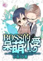 BOSS�Ĵ���С��