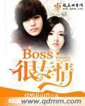 BOSS��ר��