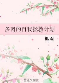 ������������ȼƻ�