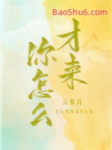 ����ô����