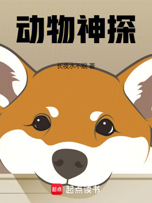 ������̽