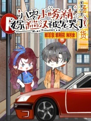 ����С�Ǿ����޲ں��������