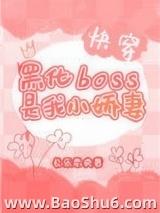 �ڻ�BOSS����С����[�촩]