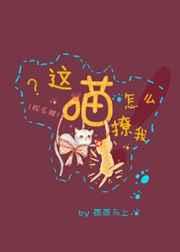 ������ô����[����Ȧ]