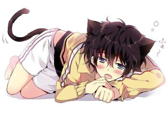 �ְֵ�����