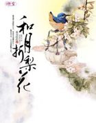 �������飺�������滨