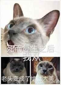 ��������֮���Ҵ���ͷ����˾���������