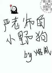 ����ʦ��СҰ��