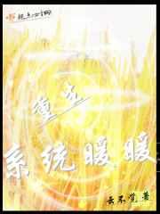 ����ϵͳůů