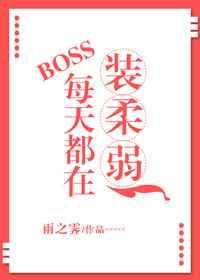 BOSSÿ�춼��װ����