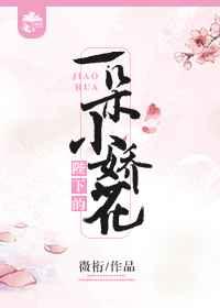 ���µ�һ��С����