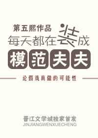 ÿ�춼��װ��ģ�����