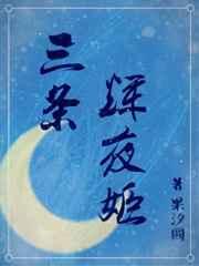 ������ҹ��[��]