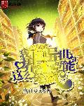 �ҵ������粻������ô�ӵ�