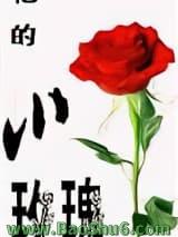 ����Сõ�壨���ߣ�ľ���