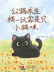 ��·��������һ�����ֻСè��
