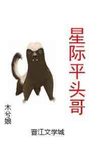 �Ǽ�ƽͷ��